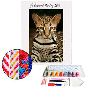 Diamond painting Bengal | Diamond-painting-club.us