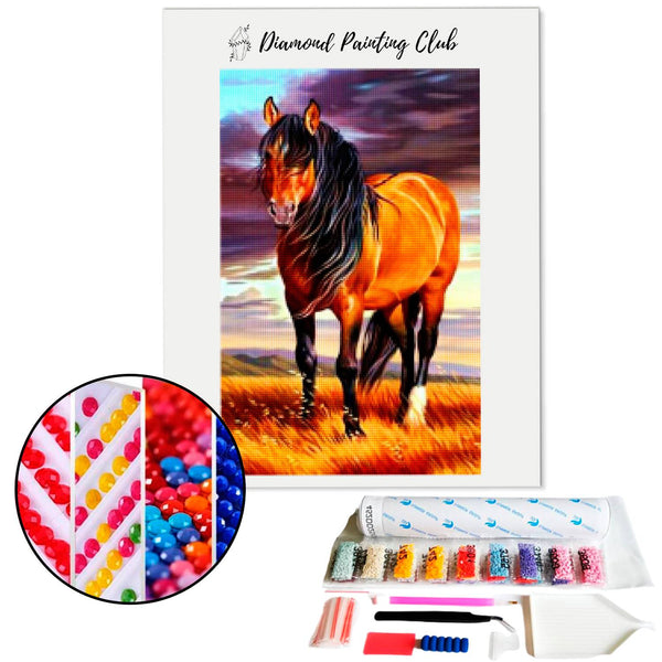 Diamond Painting Wild Horse | Diamond-painting-club.us
