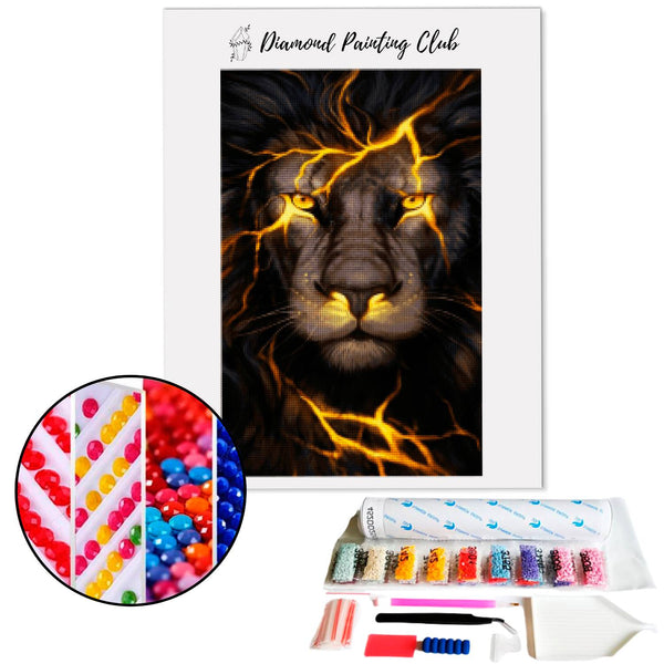 Diamond Painting Black Lion | Diamond-painting-club.us