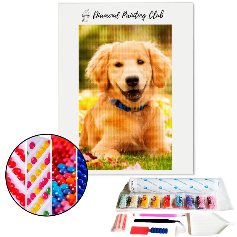 Diamond Painting Labrador Puppy | Diamond-painting-club.us