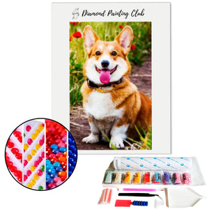 Diamond Painting Corgi | Diamond-painting-club.us