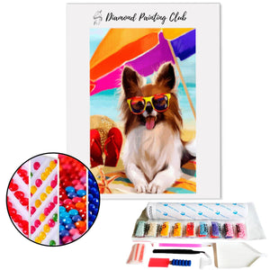 Diamond painting Spitz on the beach | Diamond-painting-club.us