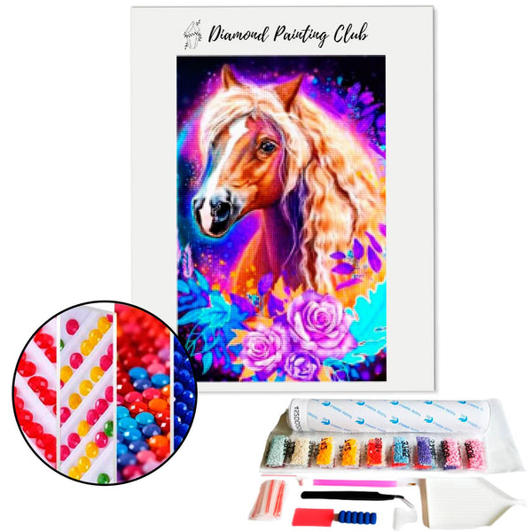 Diamond Painting Fairy Pony | Diamond-painting-club.us